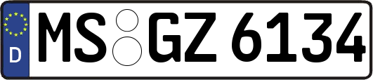 MS-GZ6134
