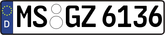 MS-GZ6136