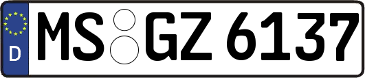 MS-GZ6137