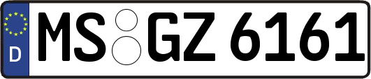 MS-GZ6161