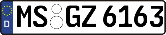 MS-GZ6163