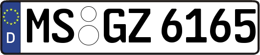 MS-GZ6165