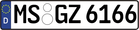 MS-GZ6166