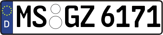 MS-GZ6171