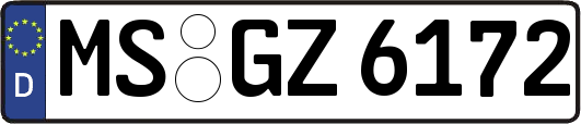 MS-GZ6172