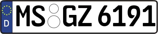 MS-GZ6191