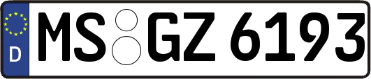 MS-GZ6193
