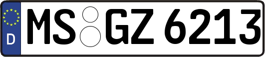 MS-GZ6213