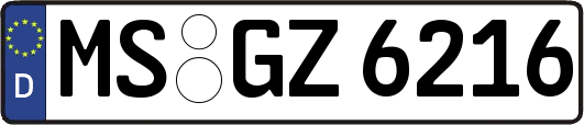 MS-GZ6216