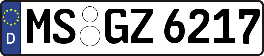 MS-GZ6217