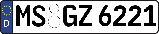 MS-GZ6221