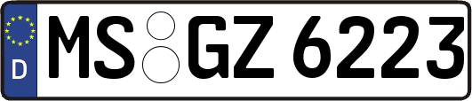 MS-GZ6223