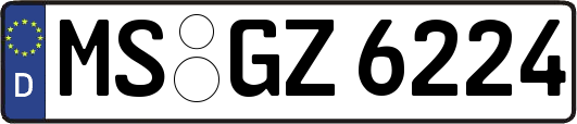 MS-GZ6224