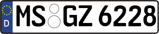 MS-GZ6228