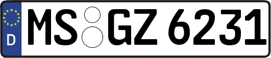 MS-GZ6231