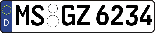 MS-GZ6234