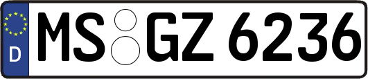 MS-GZ6236