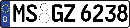 MS-GZ6238