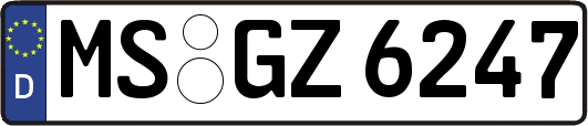 MS-GZ6247
