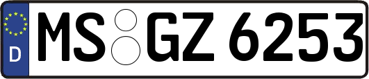 MS-GZ6253
