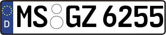 MS-GZ6255