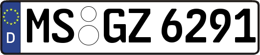 MS-GZ6291