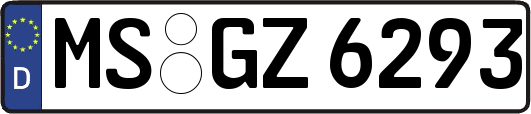 MS-GZ6293