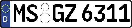 MS-GZ6311