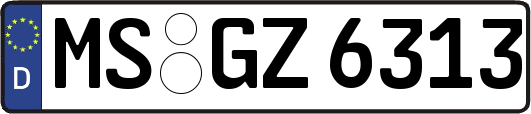 MS-GZ6313