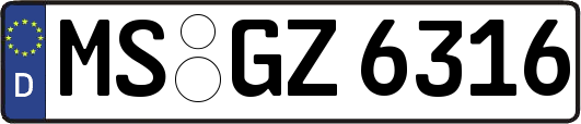 MS-GZ6316