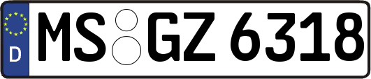 MS-GZ6318