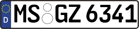 MS-GZ6341