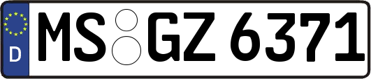 MS-GZ6371