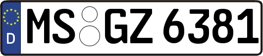 MS-GZ6381
