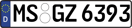 MS-GZ6393