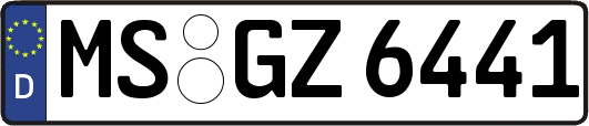 MS-GZ6441