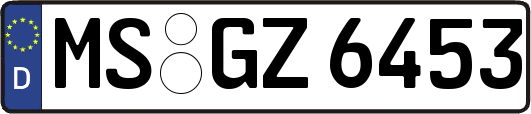 MS-GZ6453