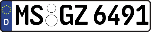 MS-GZ6491