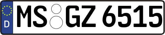 MS-GZ6515