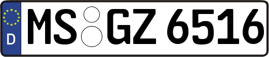 MS-GZ6516
