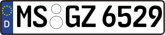 MS-GZ6529
