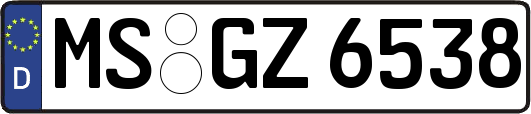 MS-GZ6538