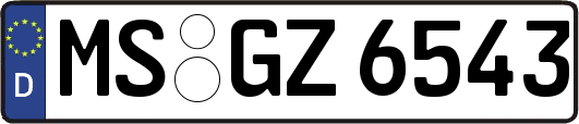 MS-GZ6543