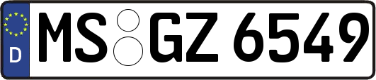 MS-GZ6549