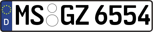 MS-GZ6554