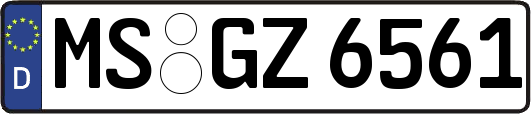 MS-GZ6561