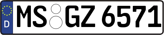 MS-GZ6571