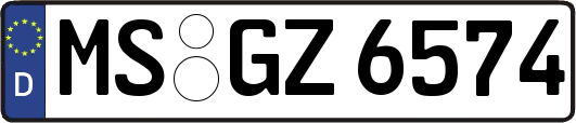 MS-GZ6574