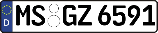 MS-GZ6591