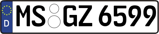 MS-GZ6599